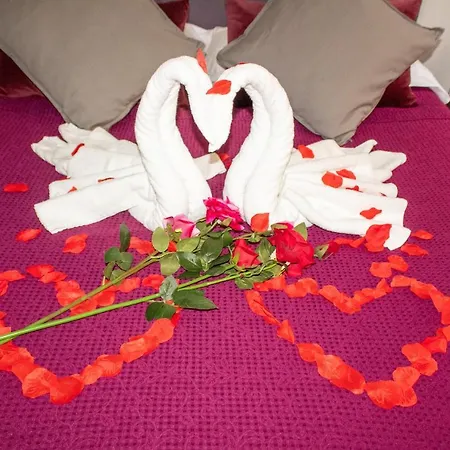 Arthouse Termini Penzion 4*