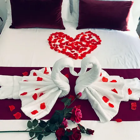 Arthouse Termini Pensjonat